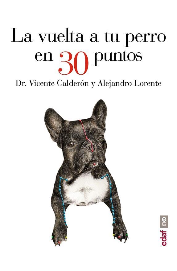 LA VUELTA A TU PERRO EN 30 PUNTOS | 9788441435483 | VICENTE CALDERÓN, DR. VICENTE/LORENTE, ALEJANDRO | Llibreria L'Odissea - Libreria Online de Vilafranca del Penedès - Comprar libros