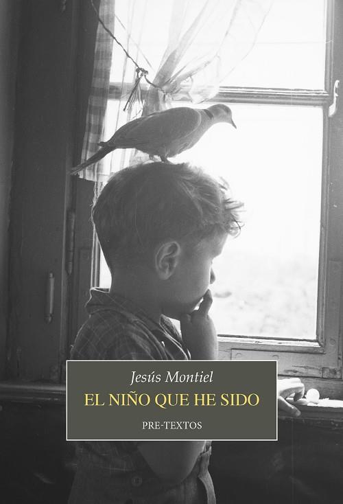 EL NIÑO QUE HE SIDO | 9788419633835 | MONTIEL, JESÚS | Llibreria Online de Vilafranca del Penedès | Comprar llibres en català