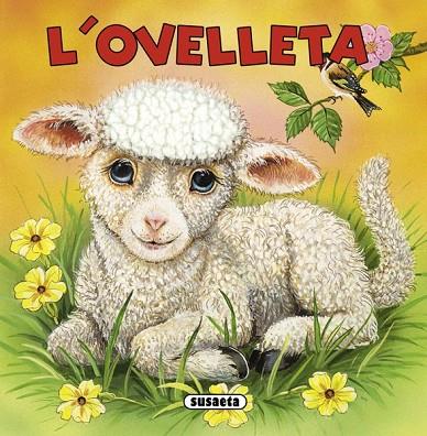 L'OVELLETA | 9788467713879 | AA. VV. | Llibreria Online de Vilafranca del Penedès | Comprar llibres en català