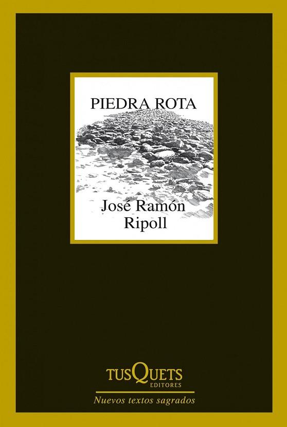 PIEDRA ROTA | 9788483834787 | RIPOLL, JOSE RAMON | Llibreria Online de Vilafranca del Penedès | Comprar llibres en català