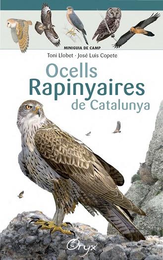 OCELLS RAPINYAIRES DE CATALUNYA | 9788490346785 | LLOBET FRANÇOIS, TONI / COPETE, JOSÉ LUIS | Llibreria Online de Vilafranca del Penedès | Comprar llibres en català