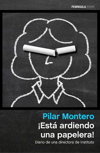 ESTÁ ARDIENDO UNA PAPELERA | 9788499424354 | MONTERO, PILAR | Llibreria Online de Vilafranca del Penedès | Comprar llibres en català