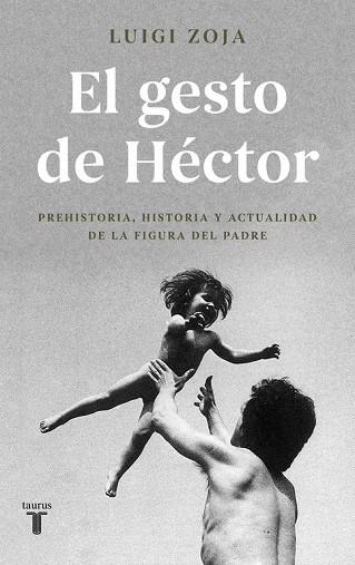 EL GESTO DE HÉCTOR | 9788430619313 | ZOJA, LUIGI | Llibreria Online de Vilafranca del Penedès | Comprar llibres en català