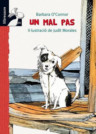 UN MAL PAS | 9788479428228 | O'CONNOR, BARBARA | Llibreria Online de Vilafranca del Penedès | Comprar llibres en català