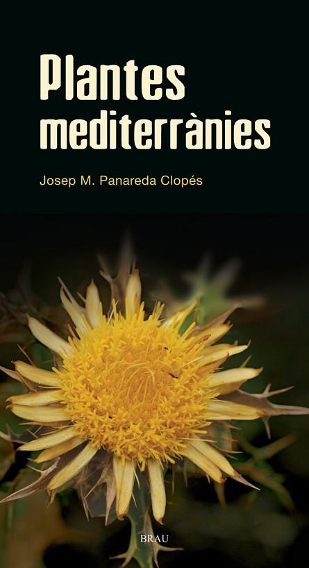 PLANTES MEDITERRANIES | 9788496905528 | PANAREDA, JOSEP M. | Llibreria Online de Vilafranca del Penedès | Comprar llibres en català