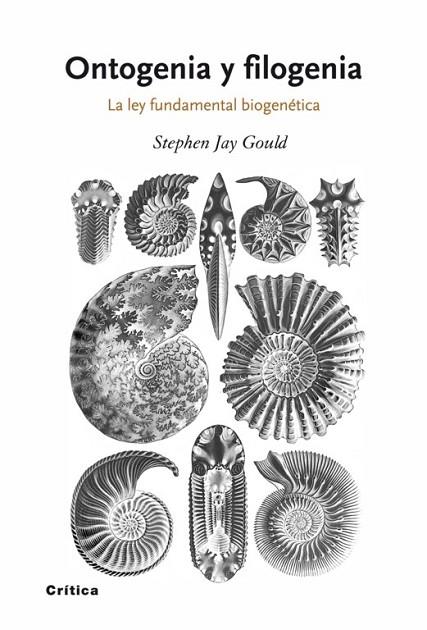 ONTOGENIA Y FILOGENIA | 9788498920628 | JAY GOULD, STEPHEN | Llibreria Online de Vilafranca del Penedès | Comprar llibres en català