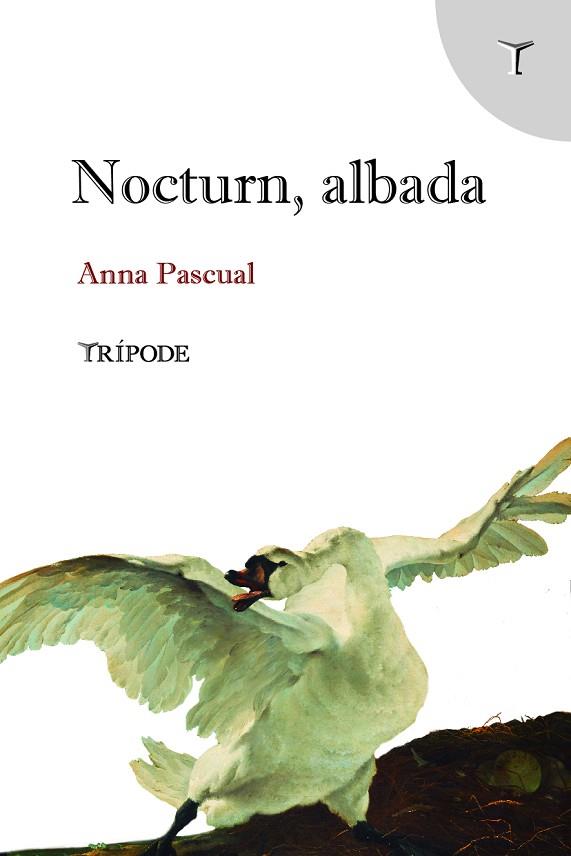 NOCTURN, ALBADA | 9788412817997 | PASCUAL VALL, ANNA | Llibreria Online de Vilafranca del Penedès | Comprar llibres en català