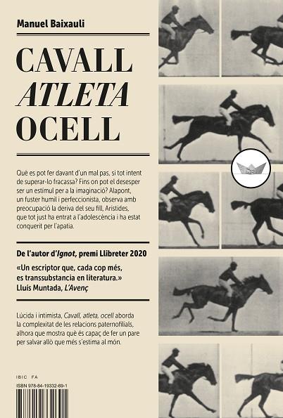 CAVALL ATLETA OCELL | 9788419332691 | BAIXAULI, MANUEL | Llibreria Online de Vilafranca del Penedès | Comprar llibres en català