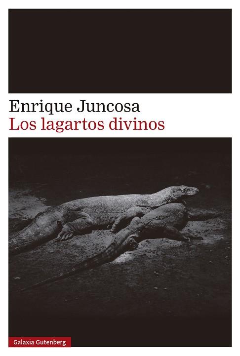 LOS LAGARTOS DIVINOS | 9788410107526 | JUNCOSA, ENRIQUE | Llibreria Online de Vilafranca del Penedès | Comprar llibres en català