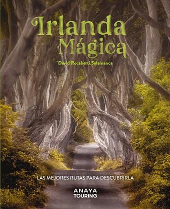 IRLANDA MÁGICA | 9788491587224 | ROCABERTI, DAVID | Llibreria Online de Vilafranca del Penedès | Comprar llibres en català