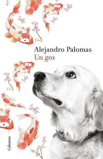 UN GOS | 9788466420426 | PALOMAS, ALEJANDRO | Llibreria Online de Vilafranca del Penedès | Comprar llibres en català
