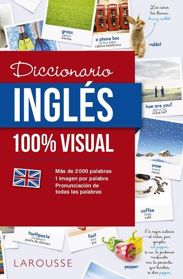 DICCIONARIO DE INGLÉS 100% VISUAL | 9788416641772 | LAROUSSE EDITORIAL | Llibreria L'Odissea - Libreria Online de Vilafranca del Penedès - Comprar libros