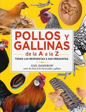 POLLOS Y GALLINAS DE LA A A LA Z | 9788428215893 | DAMEROW, GAIL | Llibreria Online de Vilafranca del Penedès | Comprar llibres en català