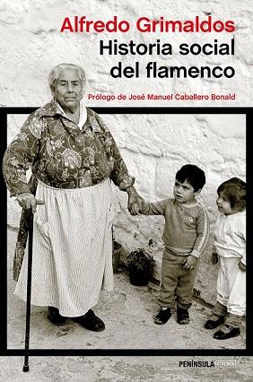 HISTORIA SOCIAL DEL FLAMENCO | 9788499423845 | GRIMALDOS, ALFREDO | Llibreria Online de Vilafranca del Penedès | Comprar llibres en català