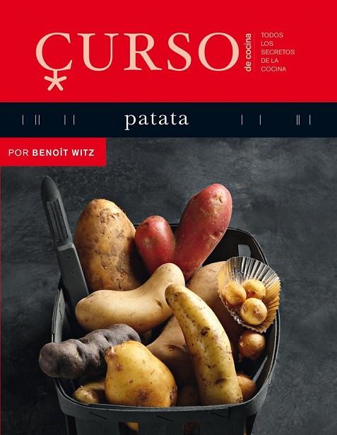 CURSO DE COCINA PATATA | 9788496669611 | WITZ, BENOIT | Llibreria Online de Vilafranca del Penedès | Comprar llibres en català