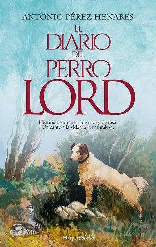 EL DIARIO DEL PERRO LORD | 9788419809384 | PÉREZ HENARES, ANTONIO | Llibreria Online de Vilafranca del Penedès | Comprar llibres en català