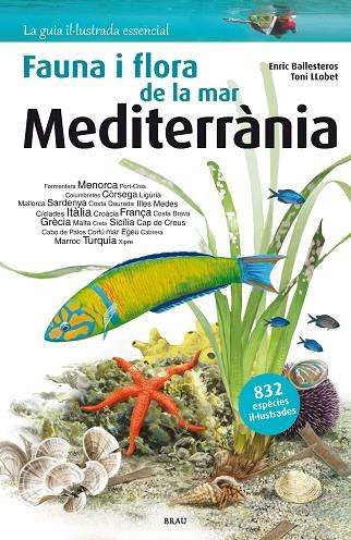 FLORA I FAUNA DE LA MAR MEDITERRÀNIA | 9788415885979 | BALLESTEROS SAGARRA, ENRIC | Llibreria Online de Vilafranca del Penedès | Comprar llibres en català