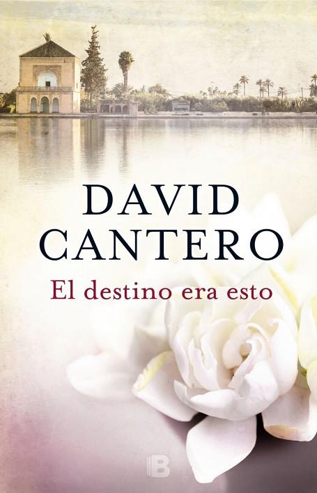 EL DESTINO ERA ESTO | 9788466660068 | CANTERO, DAVID | Llibreria Online de Vilafranca del Penedès | Comprar llibres en català