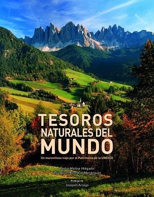 TESOROS NATURALES DEL MUNDO | 9788416177264 | AA. VV. | Llibreria L'Odissea - Libreria Online de Vilafranca del Penedès - Comprar libros