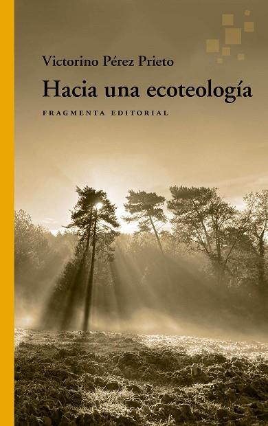 HACIA UNA ECOTEOLOGÍA | 9788417796815 | PÉREZ PRIETO, VICTORINO | Llibreria L'Odissea - Libreria Online de Vilafranca del Penedès - Comprar libros