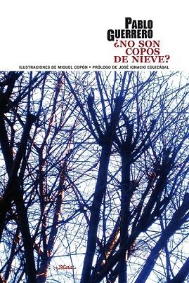 NO SON COPOS DE NIEVE | 9788492724468 | GUERRERO, PABLO | Llibreria Online de Vilafranca del Penedès | Comprar llibres en català