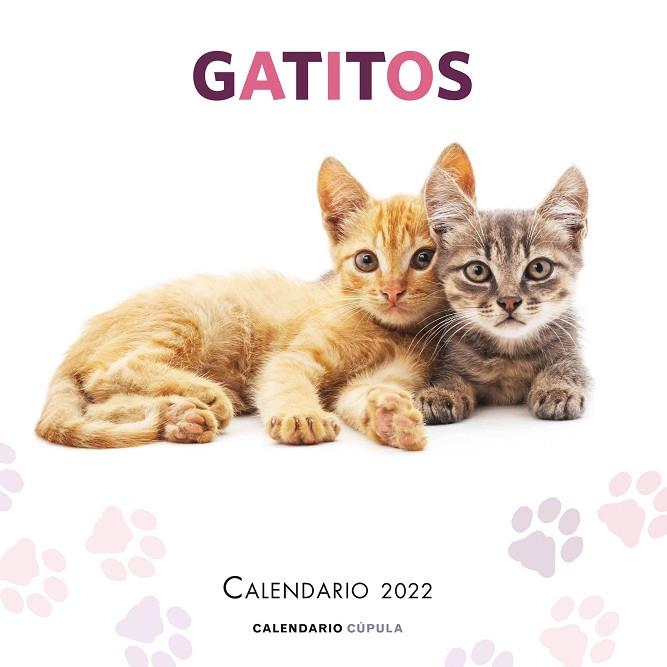 CALENDARIO GATITOS 2022 | 9788448028695 | AA. VV. | Llibreria Online de Vilafranca del Penedès | Comprar llibres en català