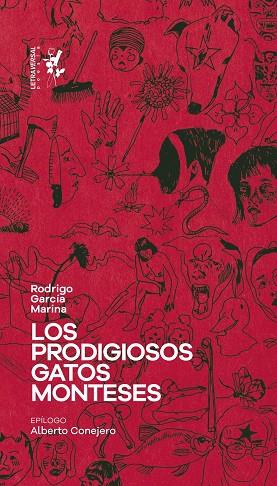 LOS PRODIGIOSOS GATOS MONTESES | 9788412640076 | GARCÍA MARINA, RODRIGO | Llibreria Online de Vilafranca del Penedès | Comprar llibres en català