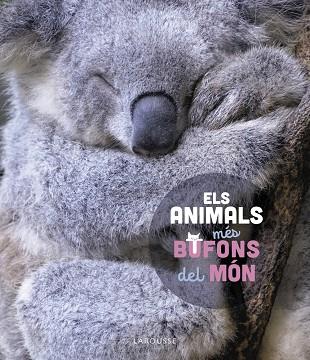 ELS ANIMALS MÉS BUFONS DEL MÓN | 9788419436184 | LEDU, STÉPHANIE | Llibreria Online de Vilafranca del Penedès | Comprar llibres en català