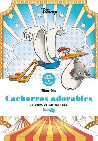 CACHORROS ADORABLES | 9788419804341 | VV. AA | Llibreria Online de Vilafranca del Penedès | Comprar llibres en català