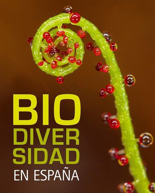 BIODIVERSIDAD EN ESPAÑA | 9788497856317 | ARAUJO, JOAQUIN | Llibreria Online de Vilafranca del Penedès | Comprar llibres en català