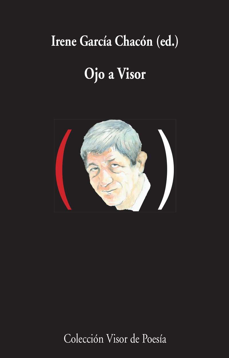 OJO A VISOR | 9788498959000 | GARCÍA CHACÓN, IRENE | Llibreria Online de Vilafranca del Penedès | Comprar llibres en català