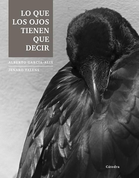 LO QUE LOS OJOS TIENEN QUE DECIR | 9788437633251 | GARCÍA-ALIX, ALBERTO / TALENS, JENARO | Llibreria L'Odissea - Libreria Online de Vilafranca del Penedès - Comprar libros