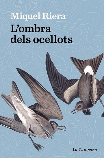 L’OMBRA DELS OCELLOTS | 9788419245175 | RIERA, MIQUEL | Llibreria L'Odissea - Libreria Online de Vilafranca del Penedès - Comprar libros