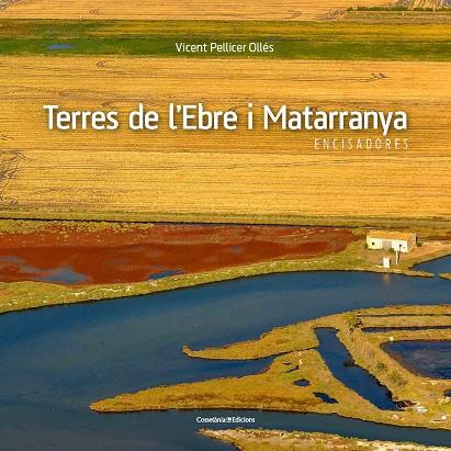 TERRES DE L'EBRE I MATARRANYA | 9788490345467 | PELLICER OLLÉS, VICENT | Llibreria L'Odissea - Libreria Online de Vilafranca del Penedès - Comprar libros