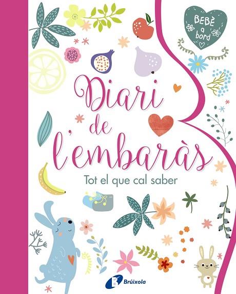 DIARI DE L'EMBARÀS TOT EL QUE CAL SABER | 9788499067797 | AA. VV. | Llibreria Online de Vilafranca del Penedès | Comprar llibres en català