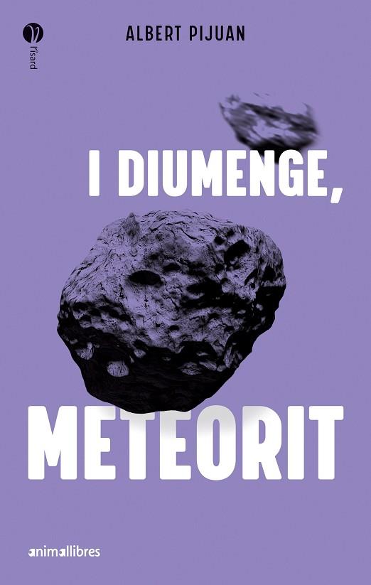 I DIUMENGE METEORIT | 9788419659415 | PIJUAN, ALBERT | Llibreria Online de Vilafranca del Penedès | Comprar llibres en català