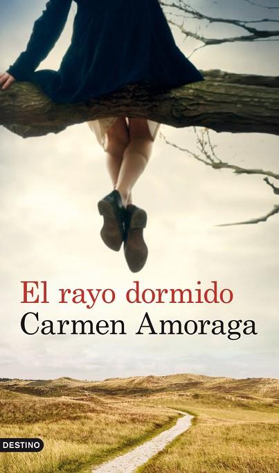 EL RAYO DORMIDO | 9788423327133 | AMORAGA, CARMEN | Llibreria L'Odissea - Libreria Online de Vilafranca del Penedès - Comprar libros