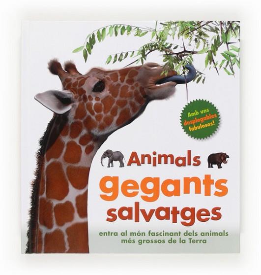 ANIMALS GEGANTS SALVATGES | 9788466133289 | GREENWOOD, MARIE | Llibreria Online de Vilafranca del Penedès | Comprar llibres en català