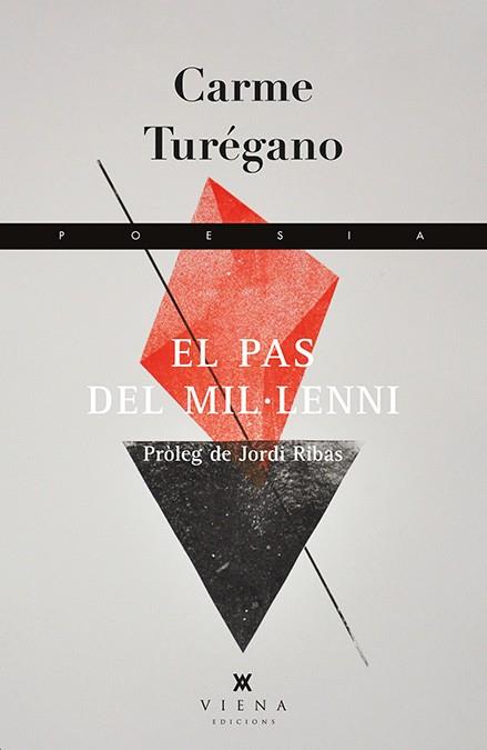 EL PAS DEL MIL·LENNI | 9788483307892 | TURÉGANO LÓPEZ, CARME | Llibreria Online de Vilafranca del Penedès | Comprar llibres en català