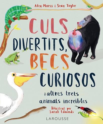 CULS DIVERTITS BECS CURIOSOS | 9788419436016 | MORSS, ALEX/TAYLOR, SEAN | Llibreria Online de Vilafranca del Penedès | Comprar llibres en català