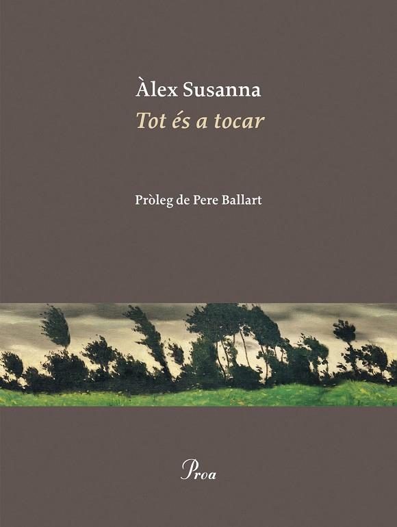 TOT ÉS A TOCAR | 9788410488045 | SUSANNA NADAL, ÀLEX | Llibreria Online de Vilafranca del Penedès | Comprar llibres en català