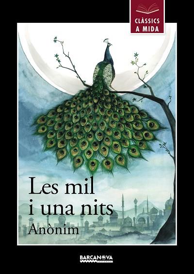 LES MIL I UNA NITS | 9788448942687 | ANÒNIM | Llibreria Online de Vilafranca del Penedès | Comprar llibres en català