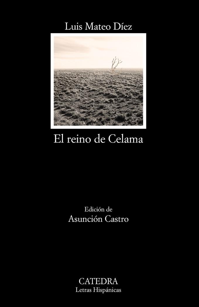 EL REINO DE CELAMA | 9788437634791 | MATEO DÍEZ, LUIS | Llibreria Online de Vilafranca del Penedès | Comprar llibres en català