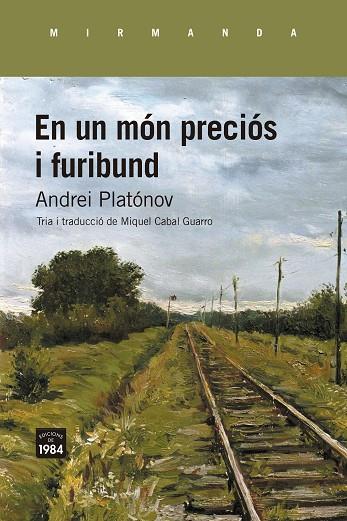 EN UN MÓN PRECIÓS I FURIBUND | 9788418858857 | PLATÓNOV, ANDREI | Llibreria Online de Vilafranca del Penedès | Comprar llibres en català