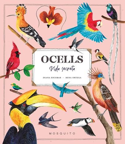 OCELLS  | 9788419095534 | ESCOBAR, DIANA/ORTEGA, RENA | Llibreria Online de Vilafranca del Penedès | Comprar llibres en català