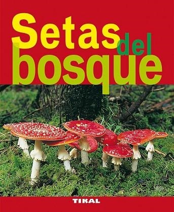 SETAS DEL BOSQUE | 9788492678778 | AA.VV | Llibreria Online de Vilafranca del Penedès | Comprar llibres en català