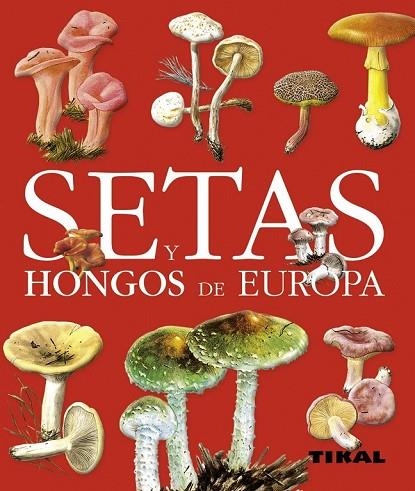 SETAS Y HONGOS DE EUROPA | 9788499280127 | AA.VV. | Llibreria Online de Vilafranca del Penedès | Comprar llibres en català