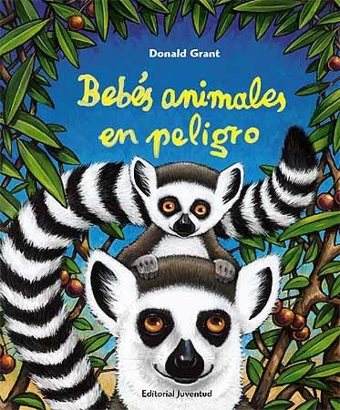 BEBES ANIMALES EN PELIGRO | 9788426137791 | DONALD GRANT | Llibreria Online de Vilafranca del Penedès | Comprar llibres en català