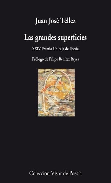 LAS GRANDES SUPERFICIES | 9788498957525 | TELLEZ, JUAN JOSE | Llibreria Online de Vilafranca del Penedès | Comprar llibres en català