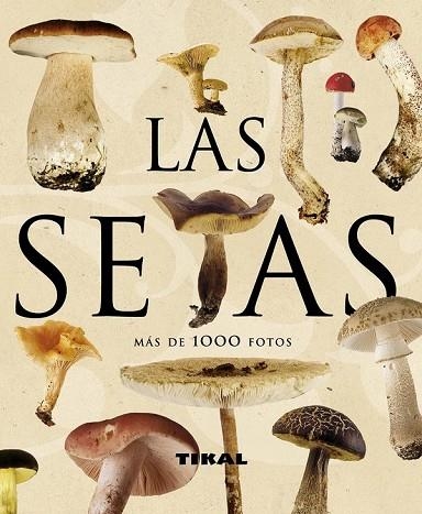 LAS SETAS | 9788499280080 | AA.VV | Llibreria Online de Vilafranca del Penedès | Comprar llibres en català